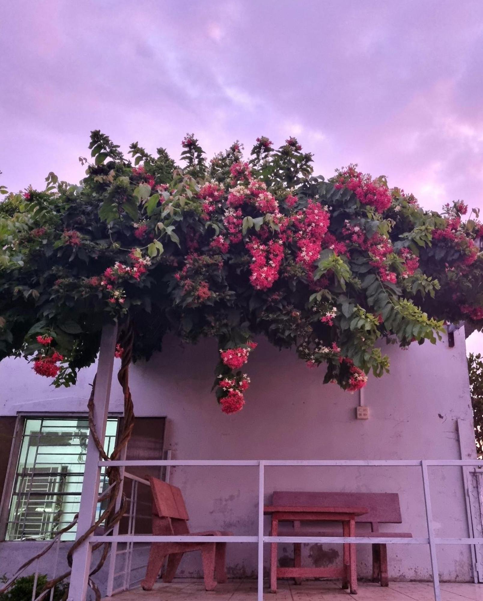 Tran Phu Riverside House Кантхо Экстерьер фото
