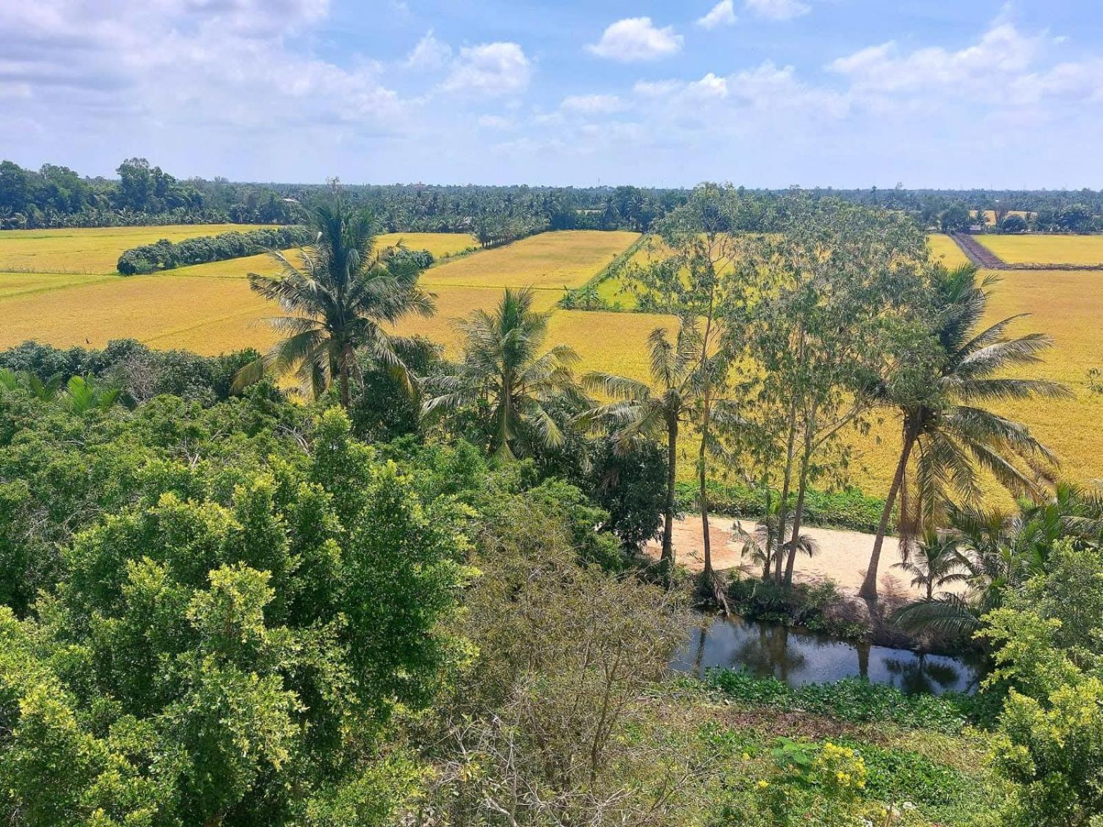 Tran Phu Riverside House Кантхо Экстерьер фото
